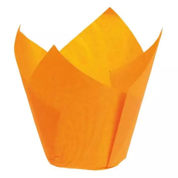 Tulipan Colorido  